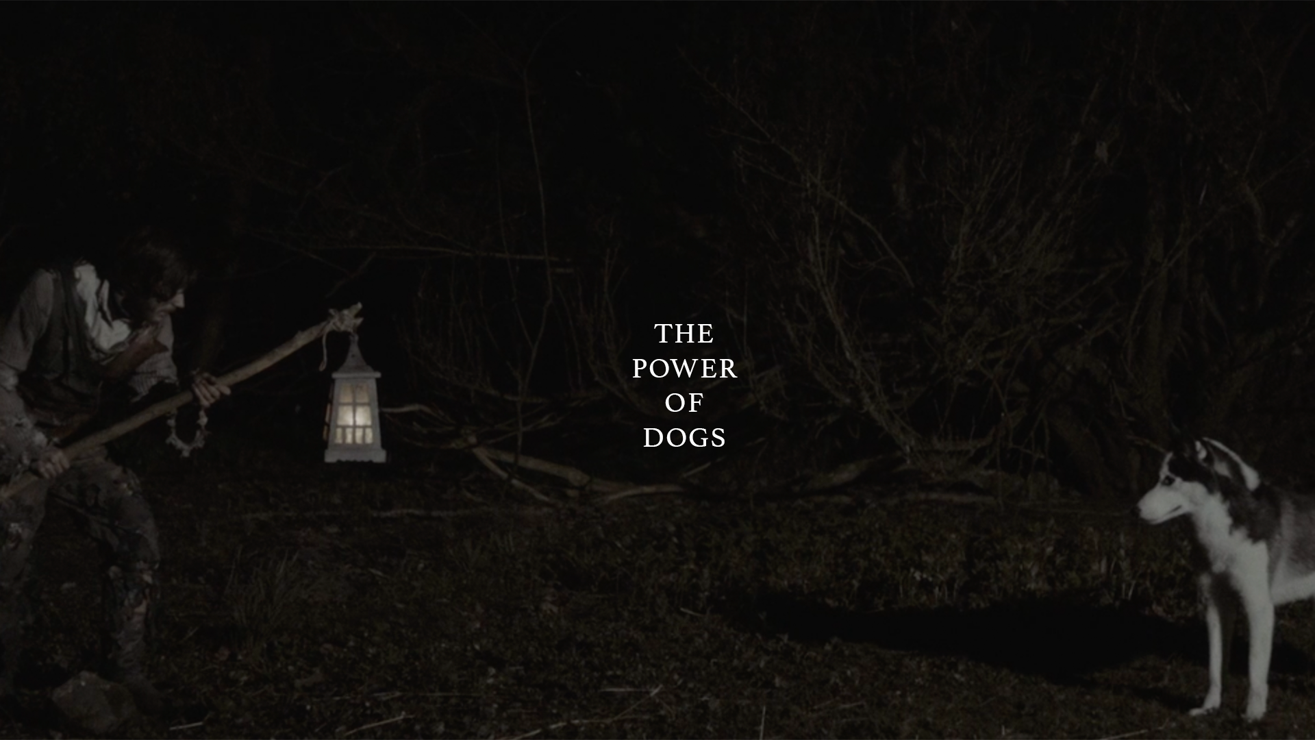 Power Of Dogs